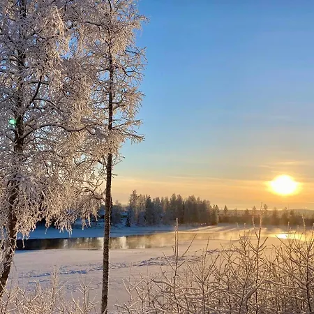 Kotolinna, Kotomo Oy