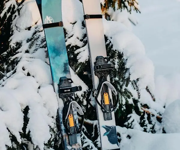 Kotolinna, Kotomo Oy Paltamo