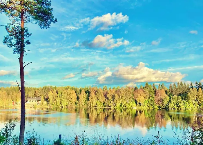 אורחן Kotolinna, Kotomo Oy